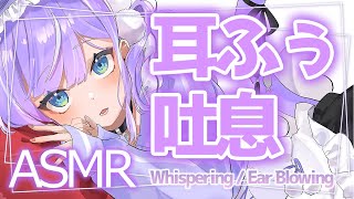 【ASMR/3Dio】ぞくぞく耳ふーで癒される♡たっぷり気持ちいいASMR Ear Blowing / Whisper / Binaural Sounds【LilyCullet/甘癒せあ】