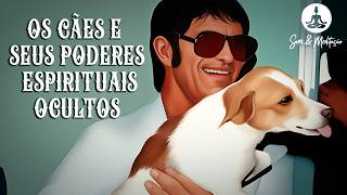 OS CÃES E O PODER ESPIRITUAL: Fidelidade, Proteção e Mistérios Revelados #cães #espiritualidade