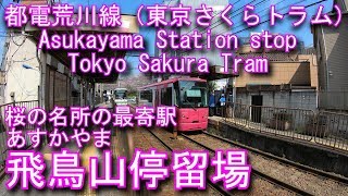 【桜の名所の最寄駅】都電荒川線　飛鳥山停留場 Asukayama stop Toden Arakawa Line (Tokyo Sakura Tram)