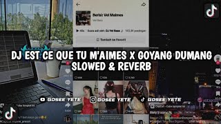 DJ EST CE QUE TU M'AIMES X GOYANG DUMANG | SLOWED & REVERB🎧