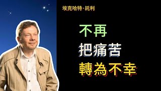 【埃克哈特 托利】 87，如果沒有經歷那些不幸和各種程度的痛苦，你們不會來到這裡。因此，讓我們心懷感激。你需要痛苦，直到你不再需要為意識的進一步進化而經歷痛苦為止。