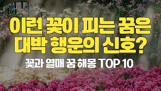 이런 꽃이 피는 꿈은 대박 행운의 신호? 꽃과 열매 꿈 해몽 TOP 10 #꿈해몽 #꿈해석 #꽃꿈해몽 #꽃꿈 #열매꿈