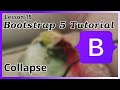 Collapse - Bootstrap Tutorial (Part 15)