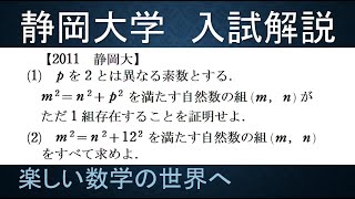 ＃336　2011静岡大　整数問題　不定方程式【数検1級/準1級/中学数学/高校数学/数学教育】JJMO JMO IMO  Math Olympiad Problems