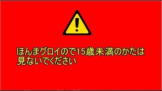 ほんまグロ動画