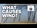 Weather IQ: What causes wind?