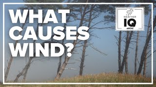 Weather IQ: What causes wind?