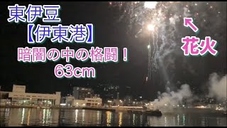 NO.43 東伊豆【伊東港】花火で撃沈→再チャレンジ→残念な63cm 2022年9月中旬