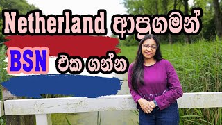 Netherland ‌ආපු ගමන් BSN එක ගන්න නොකලොත් දඩයක්?