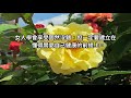 學會花錢的女人，更容易得到幸福！