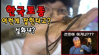 한국토종으로 발견이됬다고??외래종인줄 알았는데..이거 실화냐??[정브르]