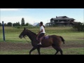 Nancy 2nd ride on a polo pony