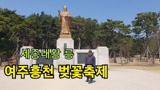 여주영릉 보고 여주흥천 벚꽃축제