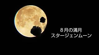 ８月の満月 スタージェンムーン