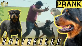 Rottweiler Prank 😂😂l tamil l prank gone wrong l @rajvisionmdu1300