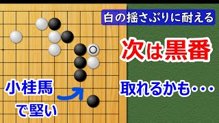 【囲碁講座】コスミツケ後の攻防（白の揺さぶりに耐える）小桂馬に絞った場合、かなり抵抗力が増します！