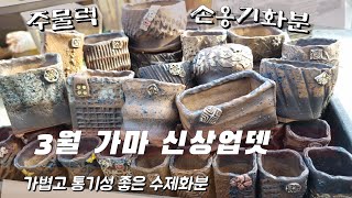 (3월 가마업뎃)가볍고 통기성 좋은 옹기토 수제화분 / 다육 키운 경험으로 나온 화분 / Handmade pots for planting succulents #다육#손옹기화분