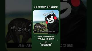 쿠마몬으로 유명한 구마모토에는 사실 곰이 없다? #일본여행 #규슈여행