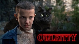 Stranger Things - with a Cat