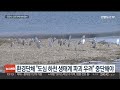 기상이변 대비…대전 도심 3대 하천 13년만 정비 연합뉴스tv yonhapnewstv