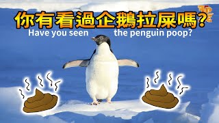 Have you Ever Seen A Penguin POOP?