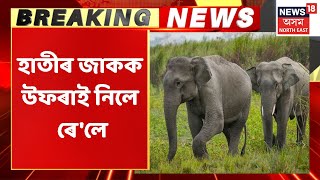 Palashbari News | পলাশবাৰীৰ গোঁসাই হাটত ভয়াৱহ দুৰ্ঘটনা