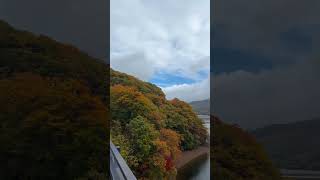 【福島県】裏磐梯桧原湖の紅葉！#紅葉