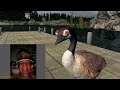 canadian goose gets aggressive on omegle