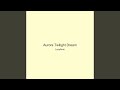 Aurora Twilight Dream