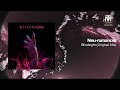 neu romancer blindsight original mix fleisch records