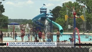 Cool off with your furry friends at Pawchella in Tyler