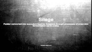 Medical vocabulary: What does Silage mean