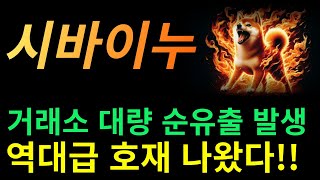 [ 시바이누 ] 거래소 대량 순유출 발생 역대급 호재 나왔다!!