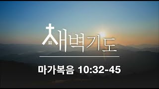 [포항큰숲교회] 2024.3.11  새벽기도회