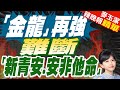 「金龍」海嘯真能給投資客教訓? 專家說了 | 「金龍」再強 難斷「新青安.安非他命」【麥玉潔辣晚報】精華版@中天新聞CtiNews