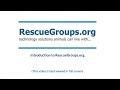 Introduction to Rescuegroups.org