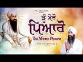 Shabad - Tu Mero Pyaro | Bhai Amritpal Singh Ji  (Jalandhar Wale) | PTC RECORDS | Gurbani