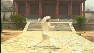 Cheng Style Baguazhang - Youshen Lianhuan Zhang (程氏八卦游身连环掌)