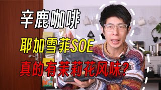 【咖啡豆评测2.0版05】辛鹿咖啡 | 耶加雪菲SOE | 这大概是我喝过最便宜的SOE了