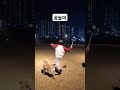 ♡홀리의 공놀이♡ 강아지