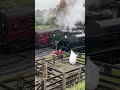 GWR 6695 passing GWR 4144 and LSWR 506 at arlesford station (the watercress line)