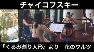 チャイコフスキー：「くるみ割り人形」より花のワルツ(弦楽四重奏)／Tchaikovsky:The Nutcracker-Waltz of the Flowers 朝♪クラ～Asa－Kura～