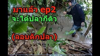 ลอบดักปลาตอนพายุเซินกาเข้าคำม่วง ep2