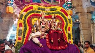 Day 7 | Thiruvathirai Nadanam | Sri Saptharisheeswarar Koil | Thiruthavathurai | Lalgudi