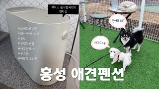 IVLOGI 미닉스 음식물처리기 언박싱, 저렴하게 사기🛒 I 애견펜션에서 밥🍚보쌈🥩순두부찌개🍲해먹는 일상