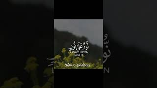 Surah Noor's verses   | Quranic verses | #islamicguidance #youtube #shorts #youtubeshorts #ytshorts