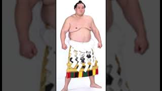 Yokozuna Terunofuji Retires