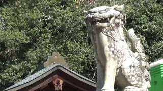 30秒の心象風景9860・明治二年の狛犬～大隅神社～