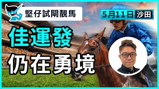 【堅仔試閘靚馬】(5月11日 沙田賽事) 佳運發 仍在勇境｜賽馬貼士​​​​​​​｜賽馬賠率​​​​​​​​​​​​​​​​​​​｜沙田