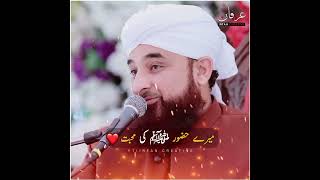 mere huzoor ﷺ ki muhabat ❤ Saqib Raza Mustafai | whatsapp status | #shorts